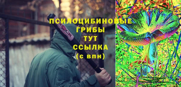 не бодяженный Богородск