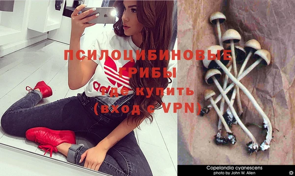 не бодяженный Богородск