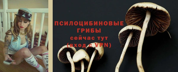 не бодяженный Богородск